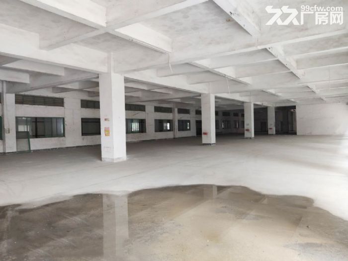 高明明城(不拆迁)经典独栋厂房6000平,可分租,空地大,可进大车 - 2