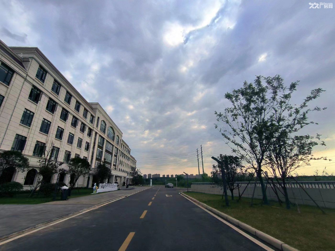 国企开发/稀缺小独栋/分割办证独立产权/赠送车位/湖景风光 - 7