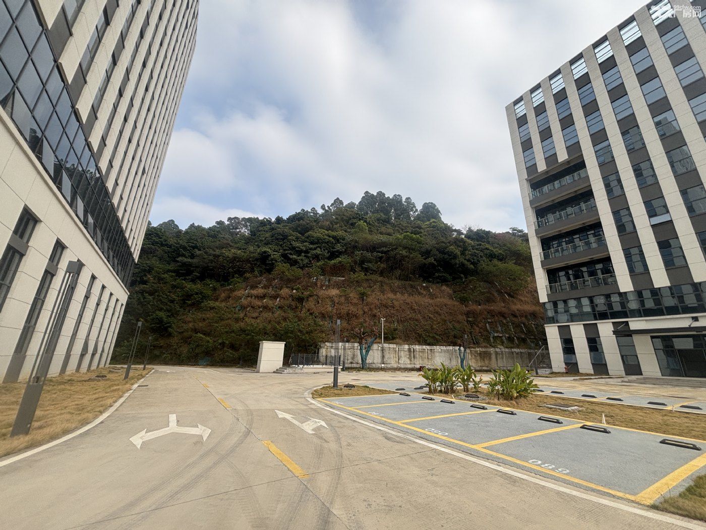 无公摊，黄埔区原房东，独门独院，高标厂房出租 - 5