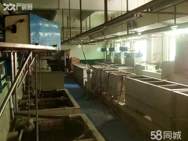深圳、惠州市新墟、电镀，化工，线路板，不锈钢蚀刻，氧化厂房出租