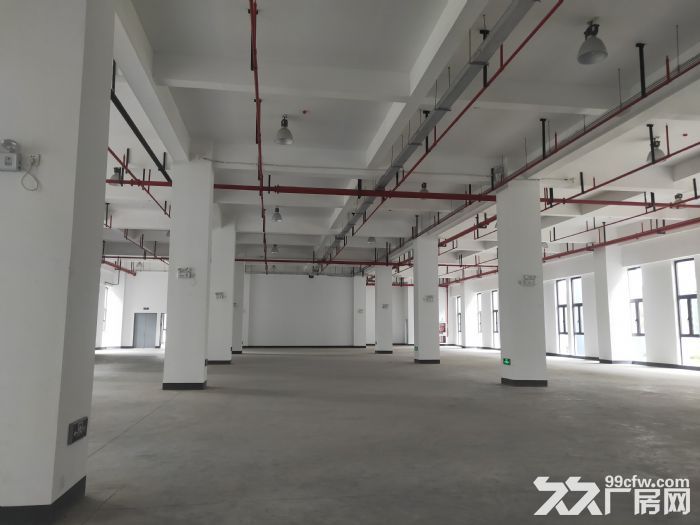 大张江康桥工业园,300平米28500平米,医药研发类可环评 - 2
