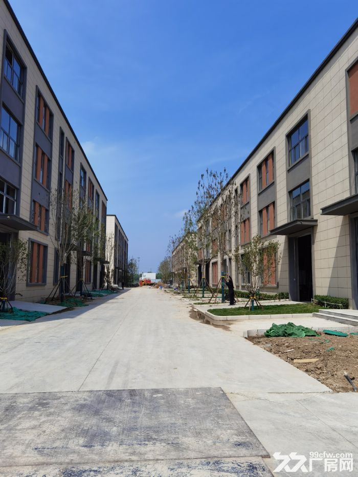 出售 办公神器 企业独栋 50年大产权 全新专业化园区