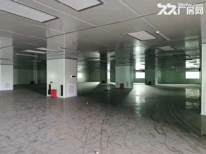惠阳三和开发区，万级无尘车间，5100平可分租，原房东，可签3~9年