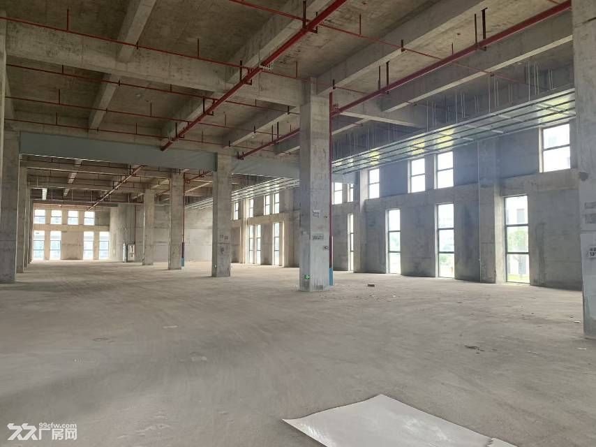 岳塘高新区丙二类消防厂房出租 - 2