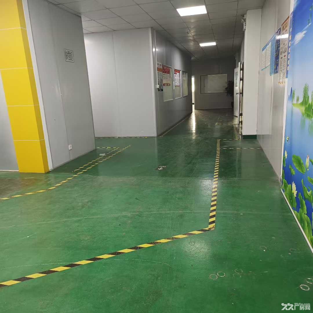 深圳龙华科技园精装修厂房800平米出租