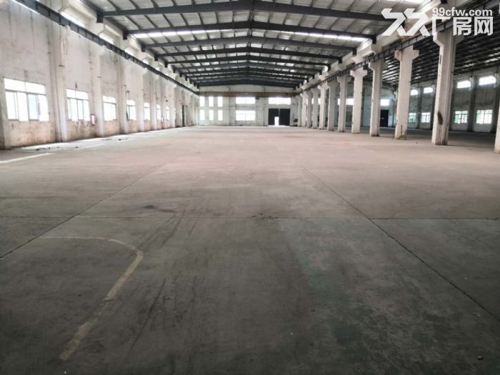 江门台山四九长龙工业区独院单一层10米高厂房4000平方招租 - 6