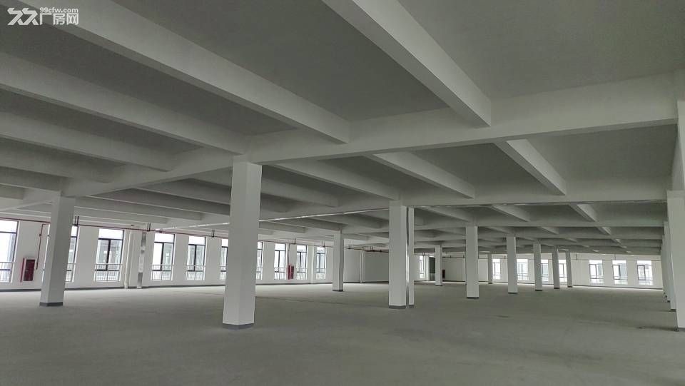 蛟川全新厂房3000平