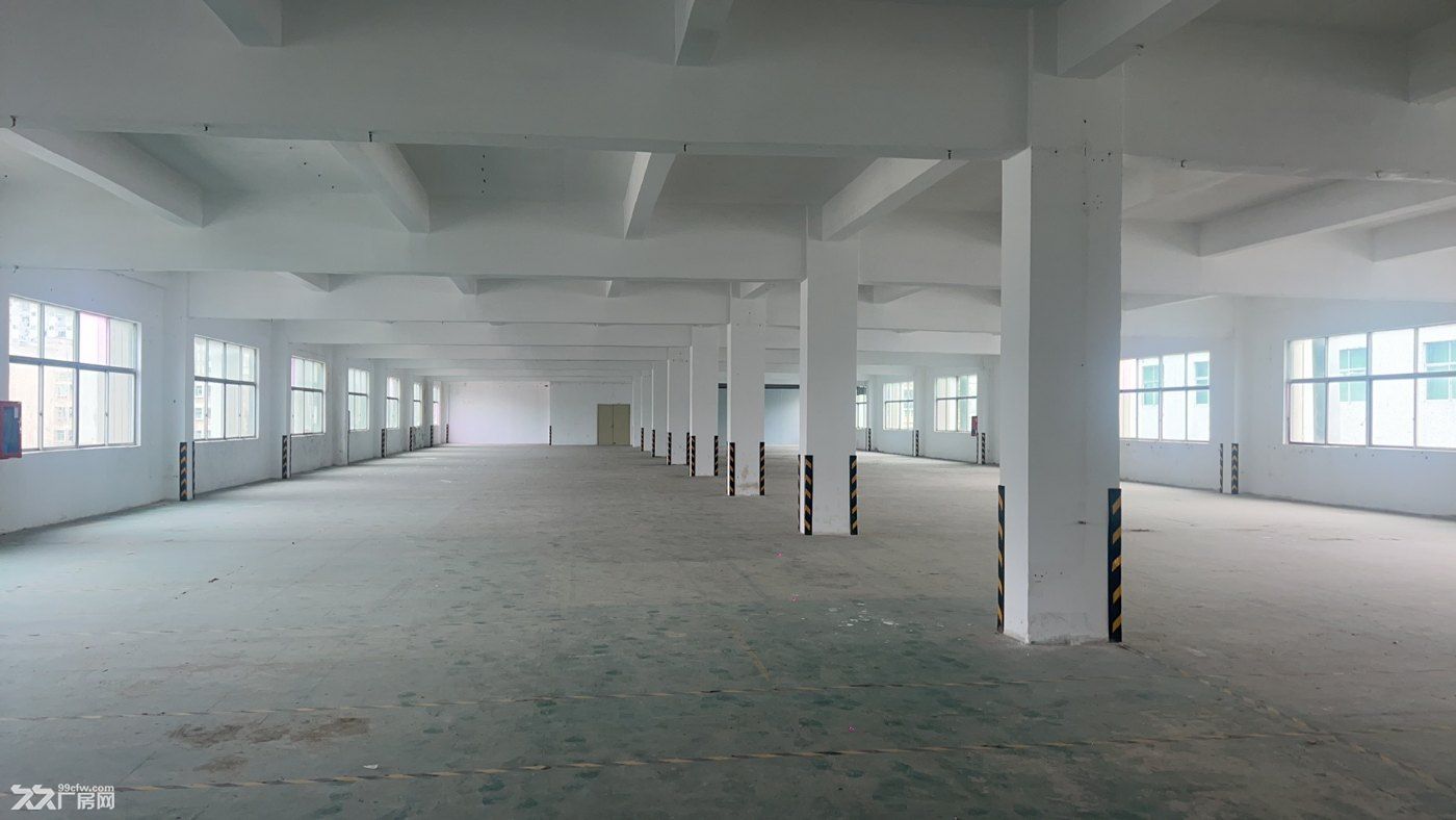 坪山区龙田街道竹坑社区第三工业区村集体厂房三四楼招租 - 3
