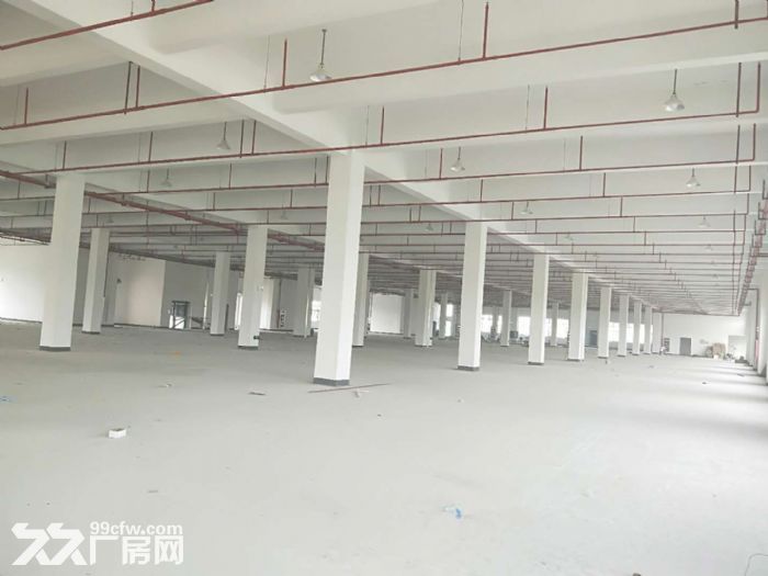 A单价25元 胜浦多层3300平标准厂房  位置好 - 4