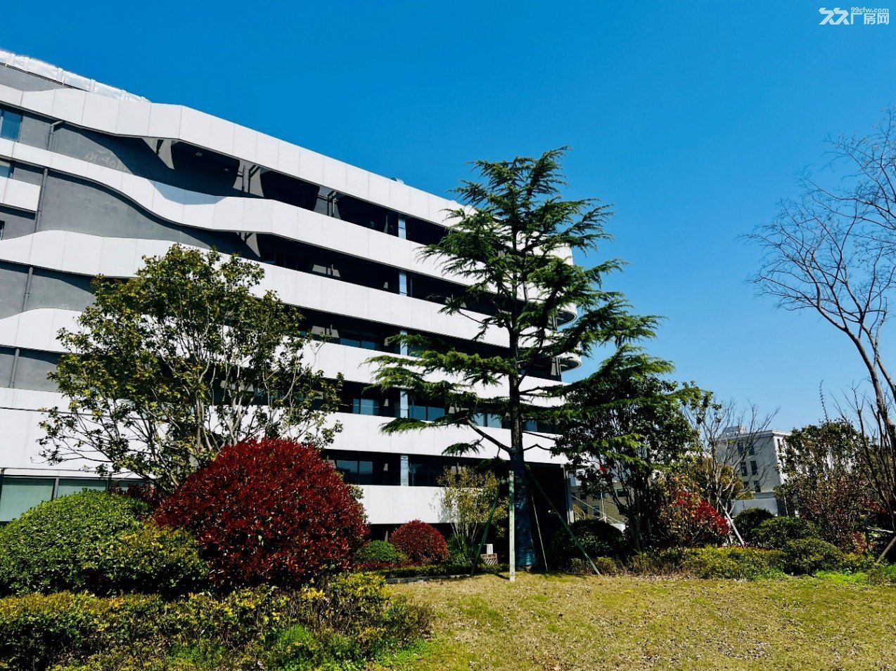 张江核心区 装修实验室200至900平按需分割出租 - 3