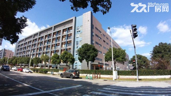 外高桥海关旁,高规格标准仓储,整层招租,可申请保税仓库 - 4