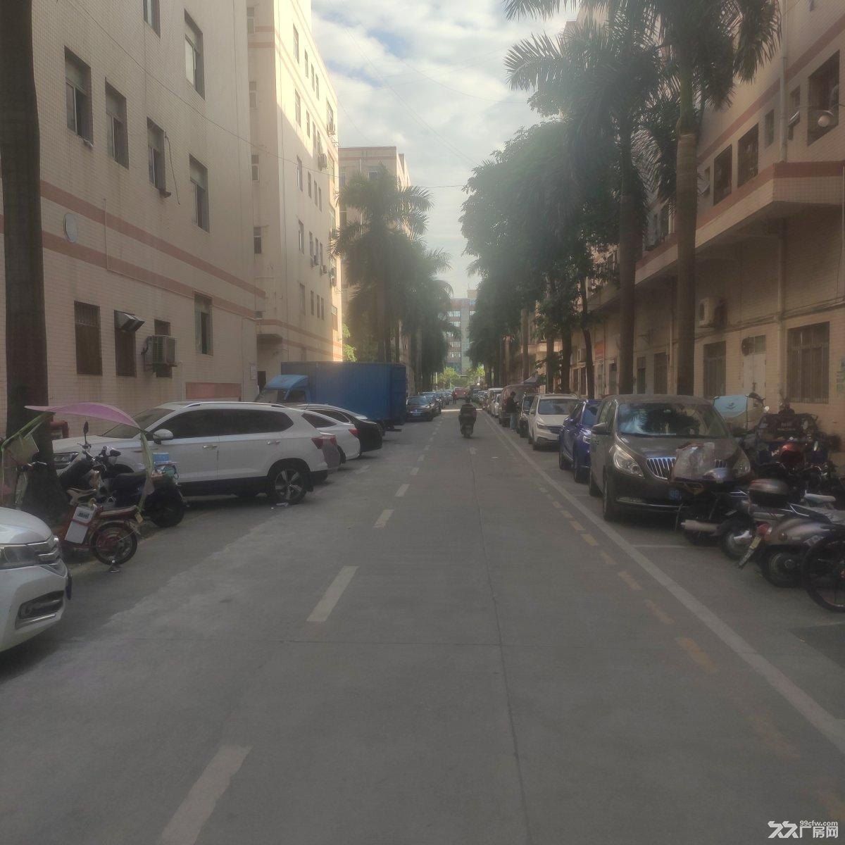 固戍地铁附近原房东工业园厂房精装修配套设施齐全可办环评 - 5