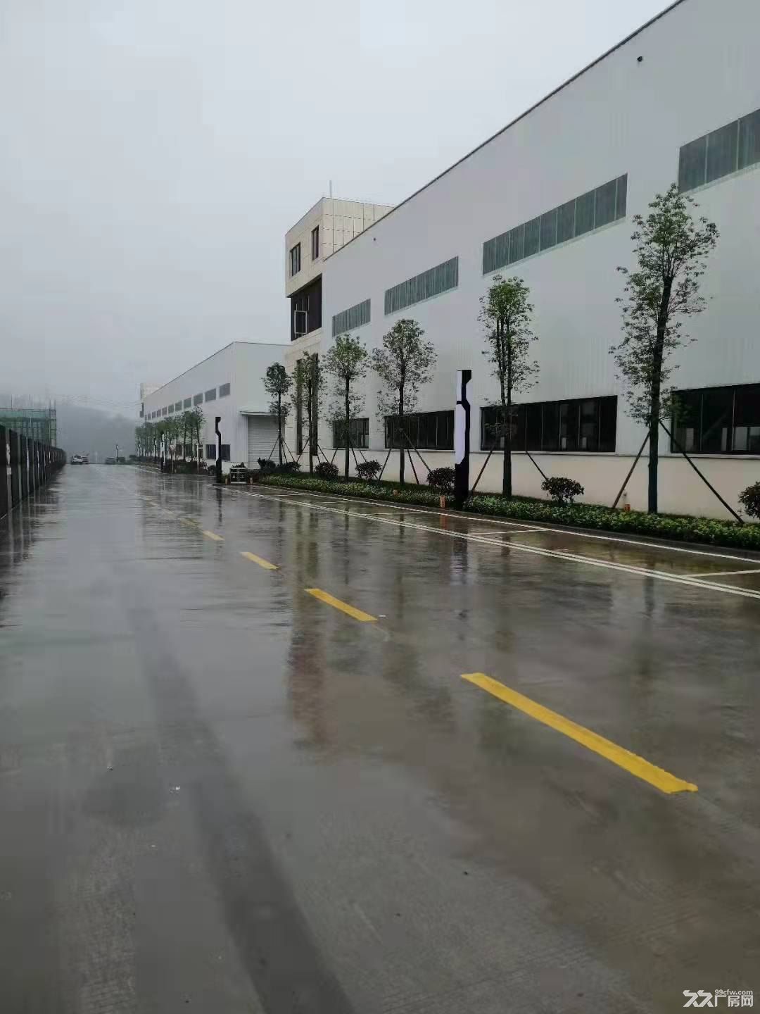 珞璜高速路口单层带院厂房出租 - 2