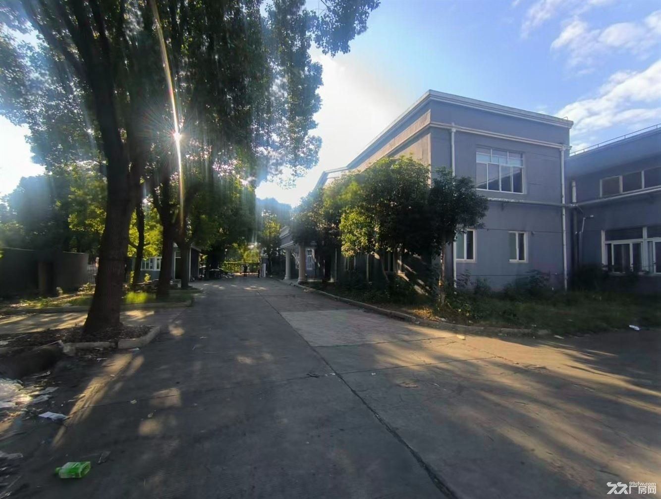 招商：马陆独门独院2400平 带宿舍办公 配3亩场地 一手房东 - 3