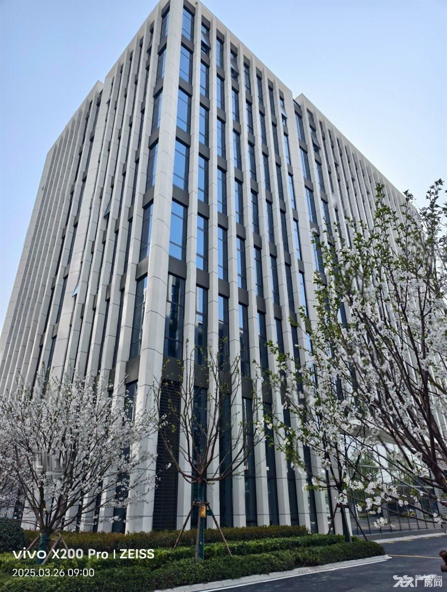 嘉定北科创中心 全新104标准厂房 单价0.75可环评 - 6
