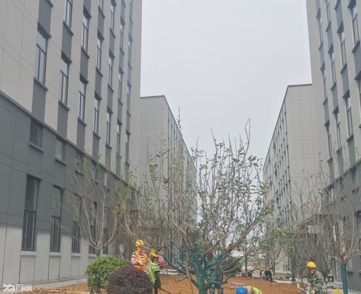 江宁最具性价比厂房出租出售，国资项目，现房招商 - 4