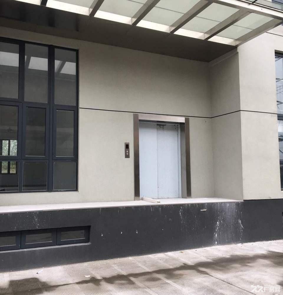 浦东11号线地铁,大张江核心,一楼7米无地下,可分租,可环评 - 4