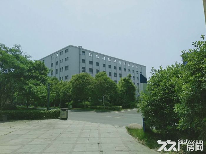 好消息厂房出售非中介 - 4