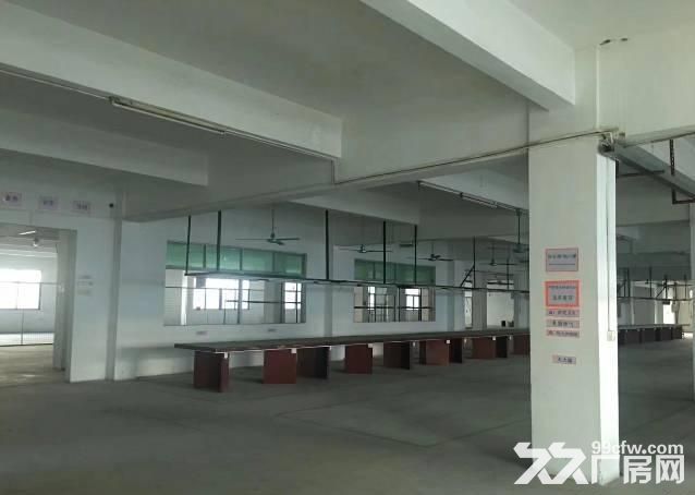花都工业区独院标准厂房出租,大路边,6400平, 可分租,带红本 - 4