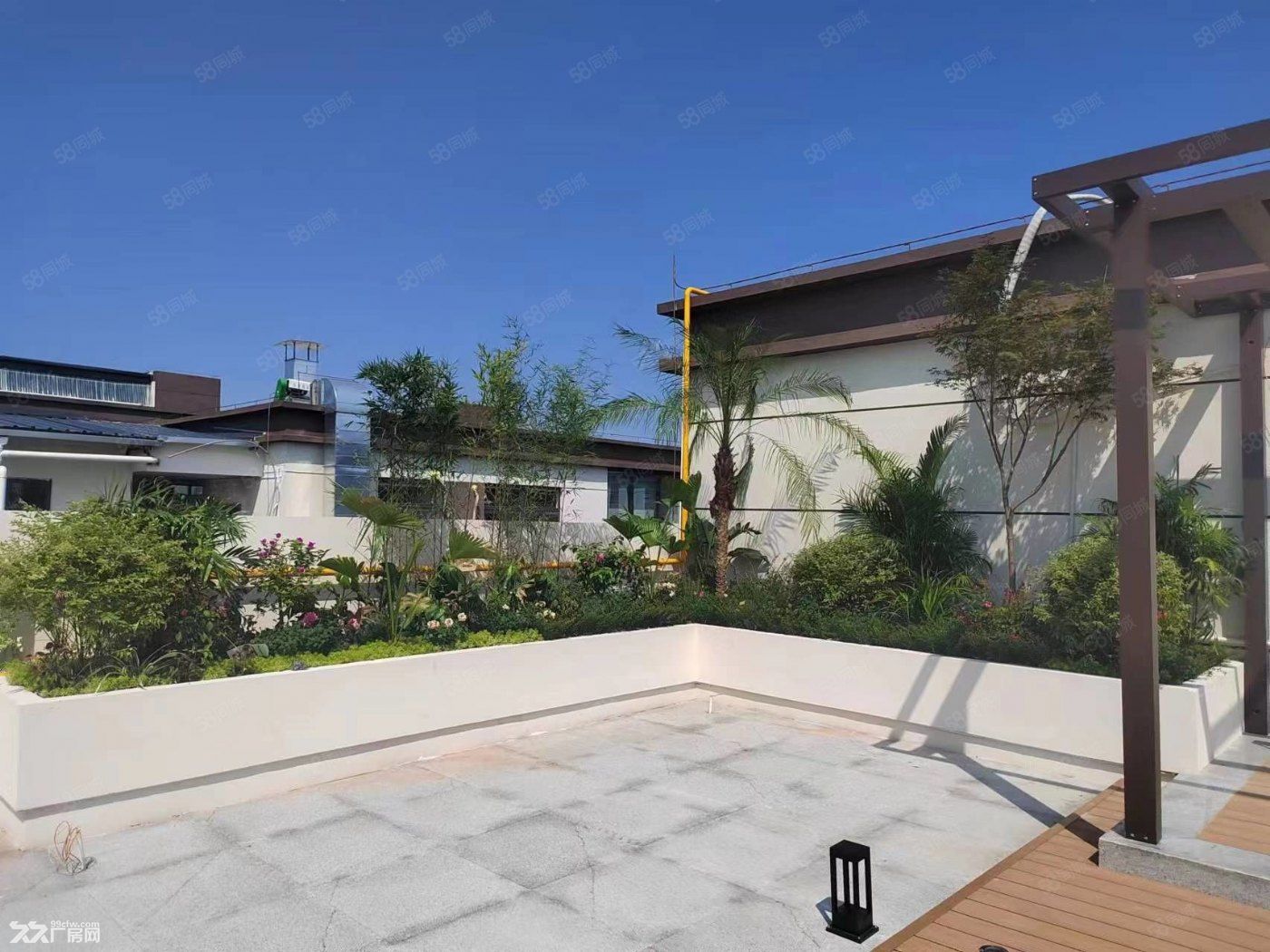 食品厂房出售:1000平大平层厂房出售,总价250万 - 2