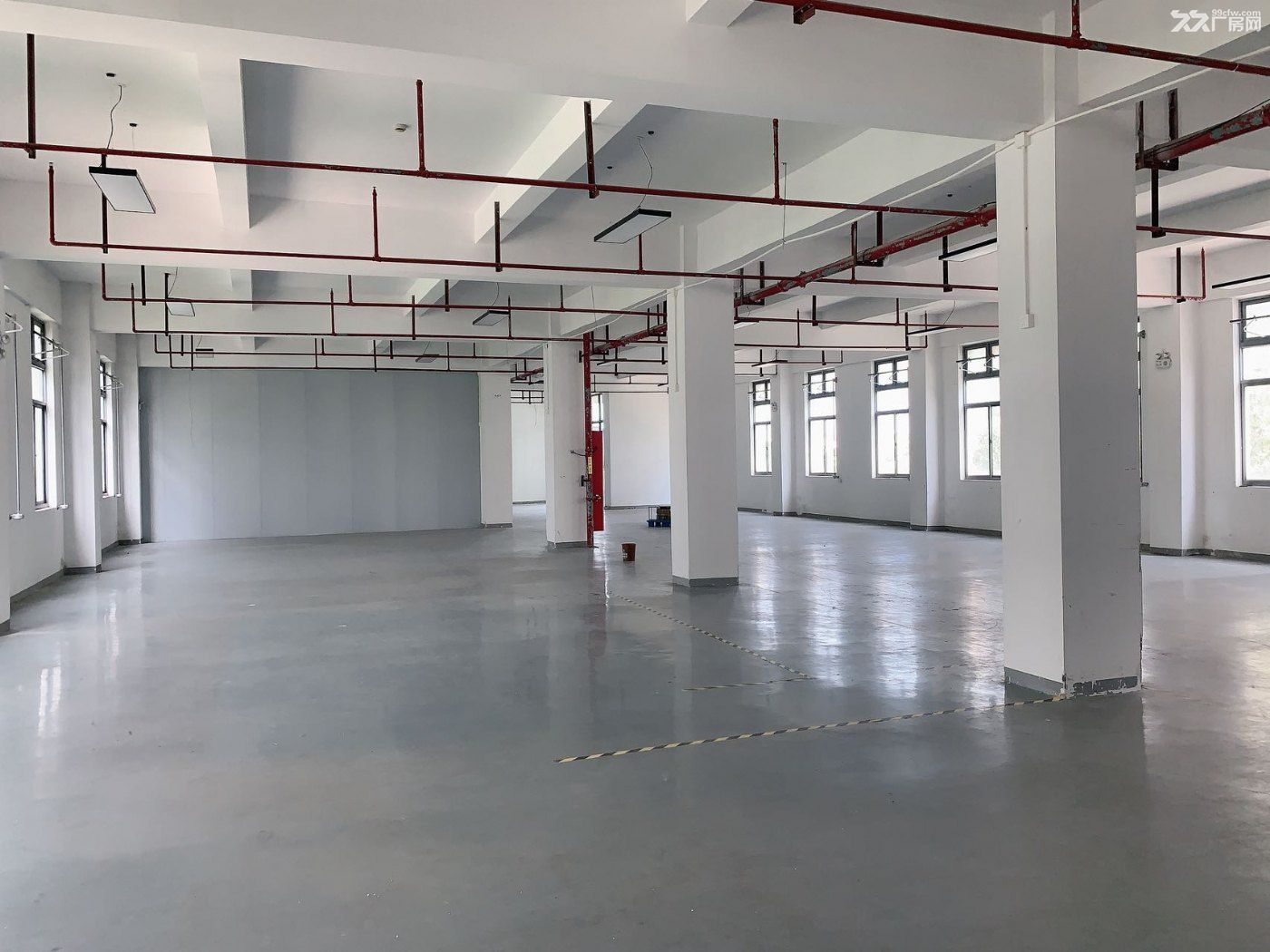 出租浦东南汇工业园 104地块产业园 开发商直租研发办公仓储 - 2