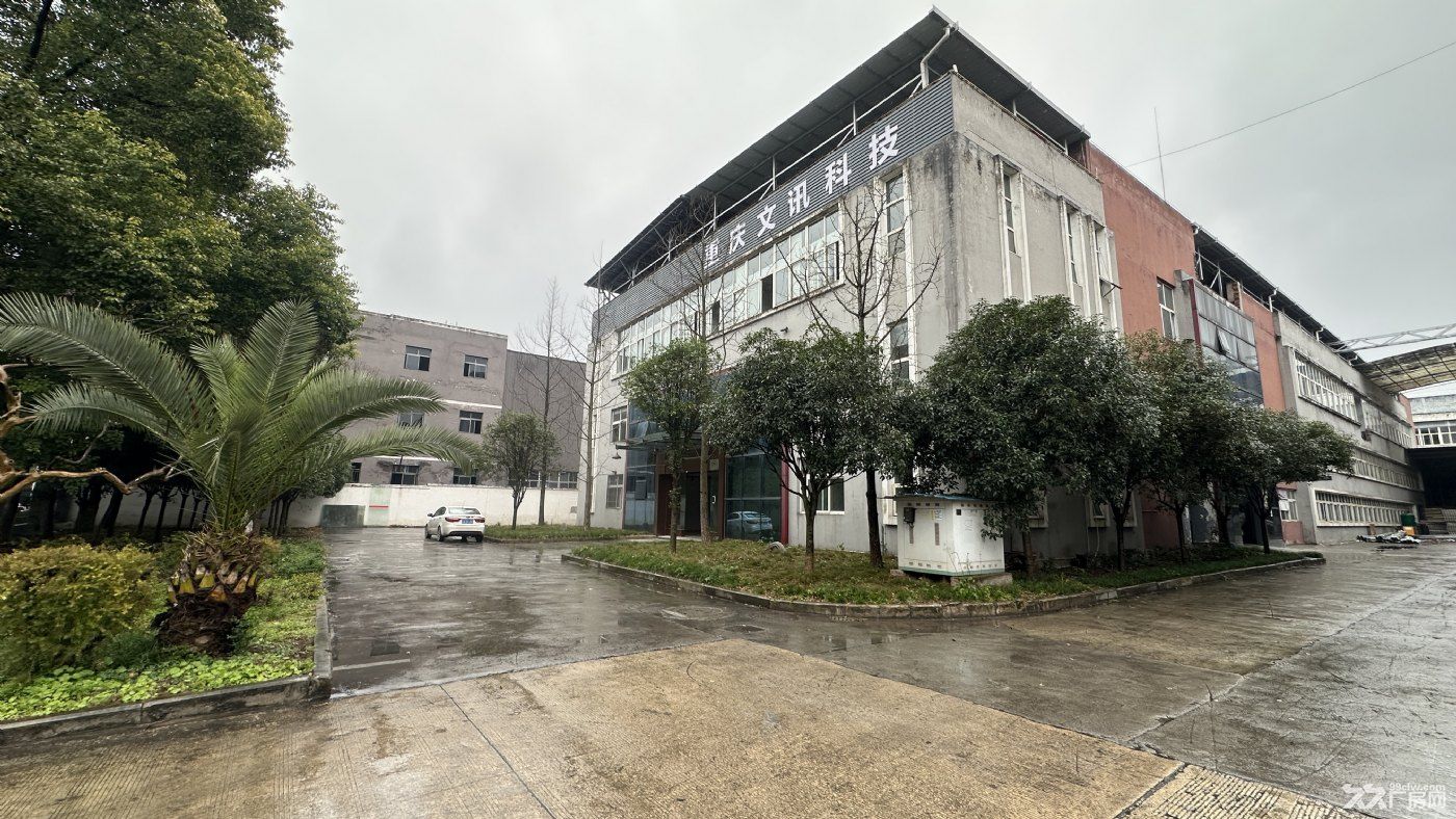 青杠高速入口旁9800㎡ 标准框架厂房租售 独院50年产权 - 3