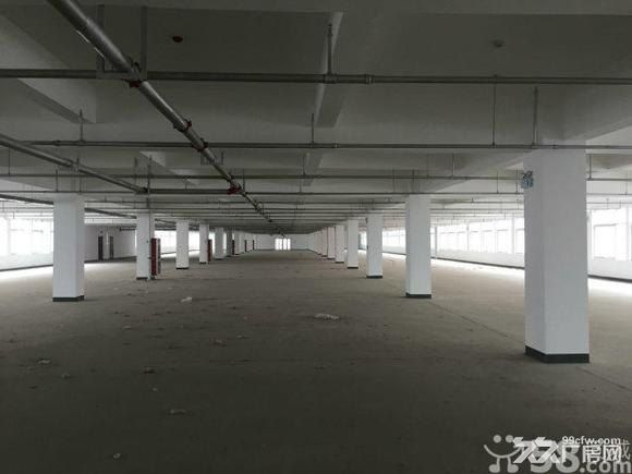 阜阳颍泉区青网科技园 - 5