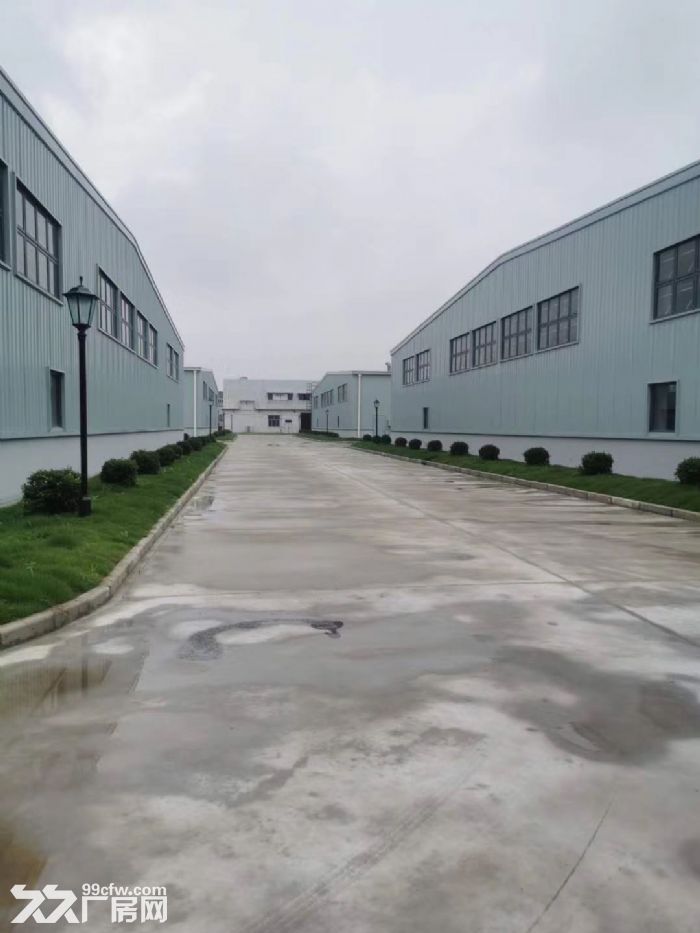 嘉闵高架 莘庄工业区新建单层仓库 600平1200平1800