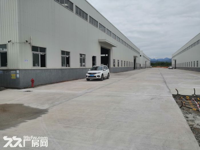 江门台山工业区50000平方单一层12米高钢结构厂房仓库招租 - 5