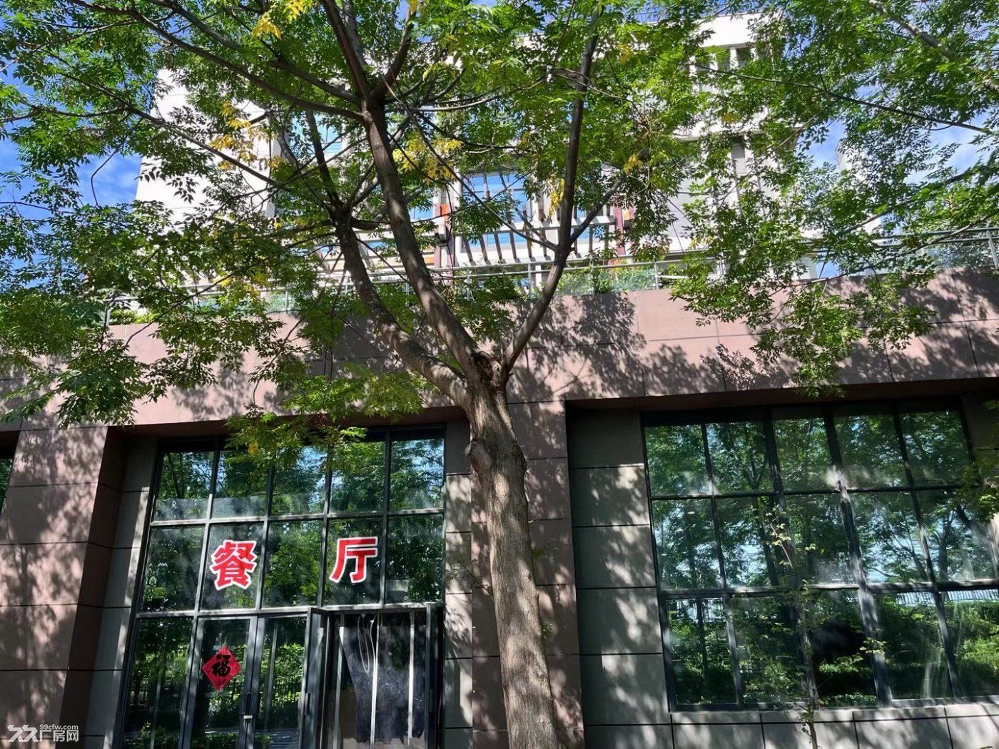 高新区花园式工业厂房招租啦!与国企为邻!
