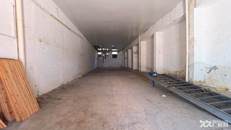 闵行金都路单层厂房仓库出租 - 4
