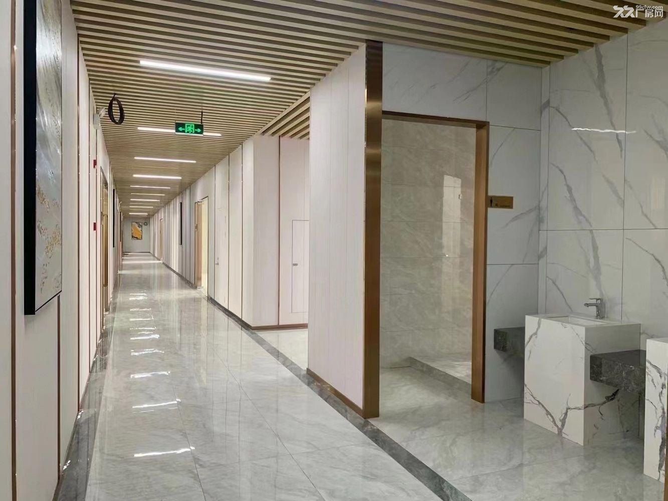 张江南 金科路旁230-580研发厂房 可组装测试仓储办公 - 5