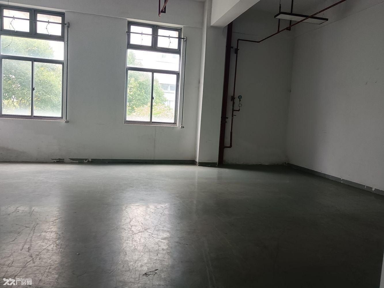 浦东104地块工业园 整层出租可分割 消防丙二类可注册可环评 - 4