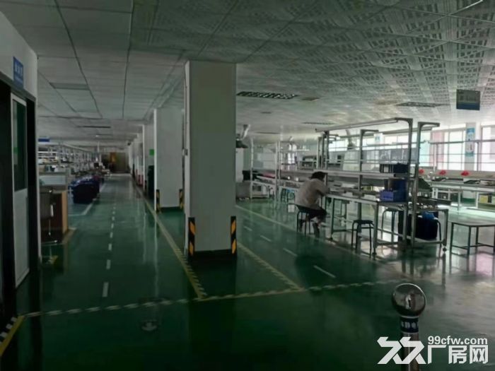 新出超靓独院厂房7800平米 - 5