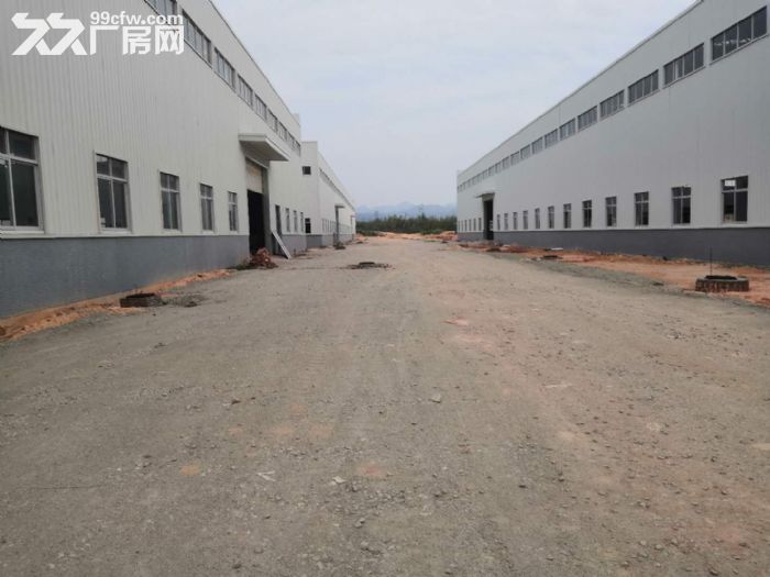 江门台山工业新城独院空地大50000平方厂房仓库招租 - 7