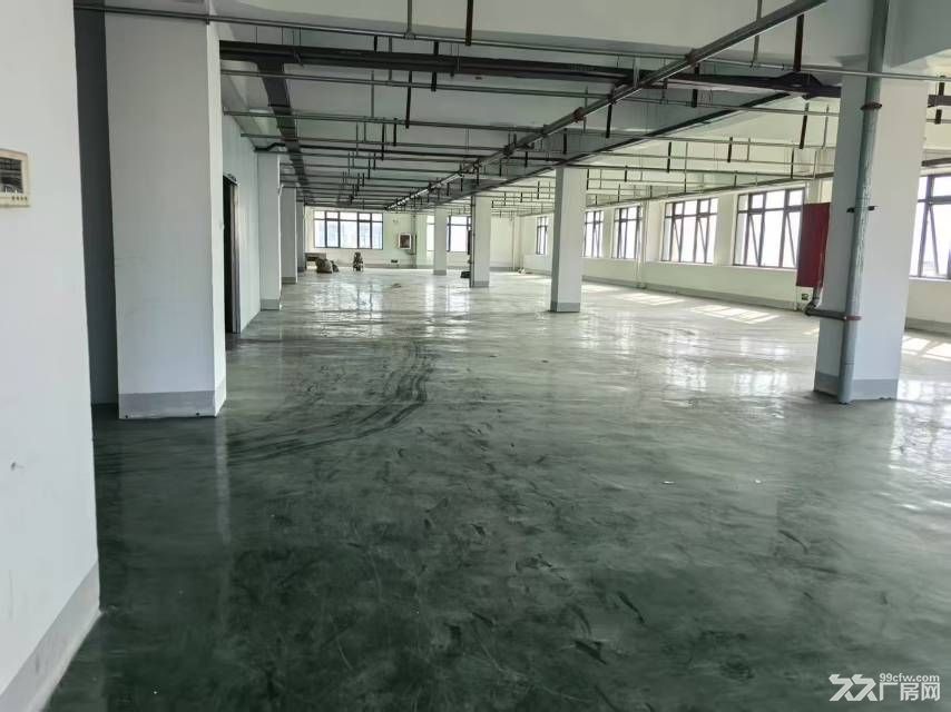 新站区标准厂房独门独院3000平可分租 - 8