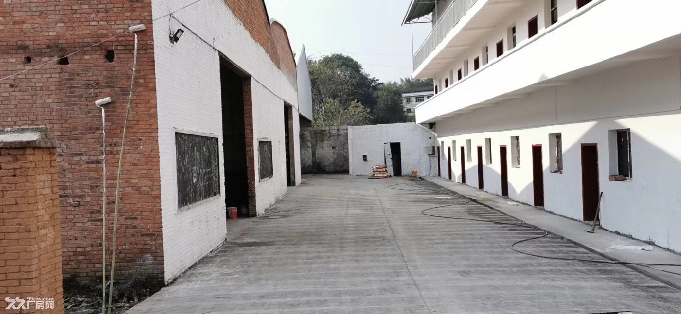 3个各1000平米标准厂房低价出租 - 3