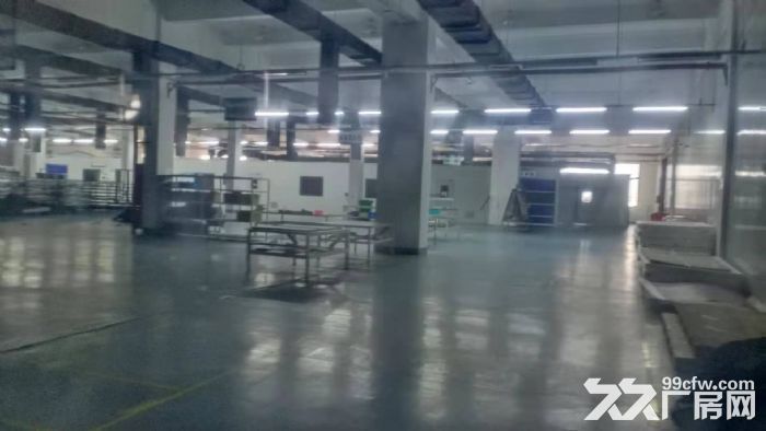 胜浦双层13000平标准厂房  有行车  可分租 - 2