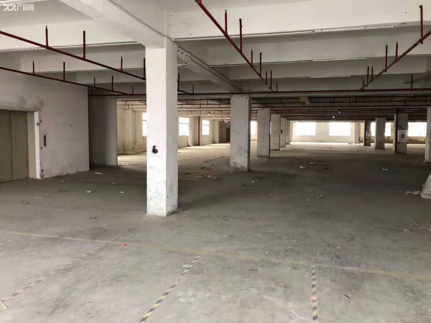 龙江西庆有一厂房出租 - 5