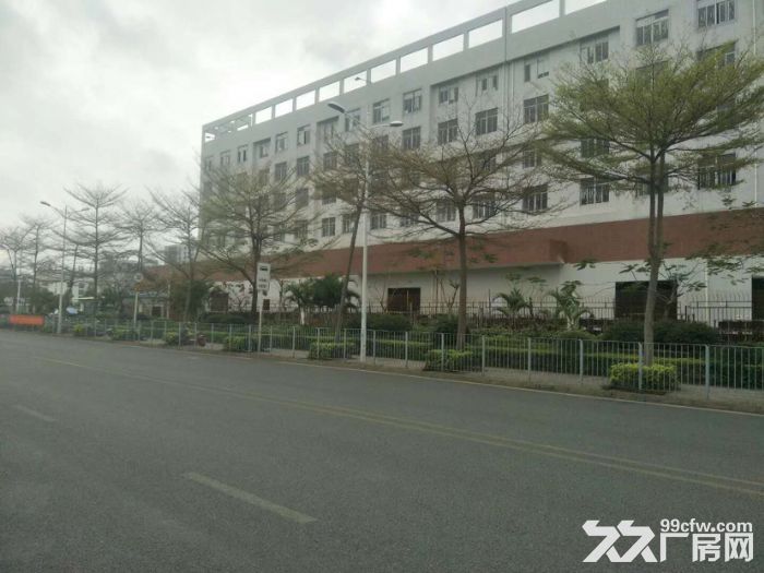 坪山主干道边红本厂房一二楼各4000平方出租 合同八年，可办环评 - 4