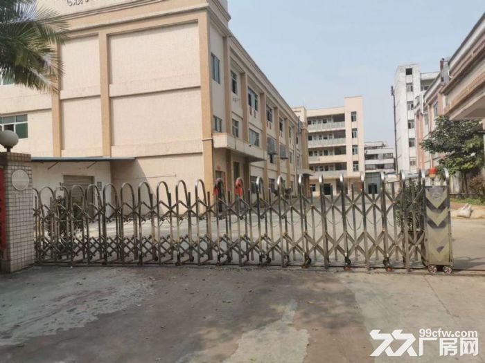台山工业新城工业园一楼准厂房仓库650平方招租 - 4