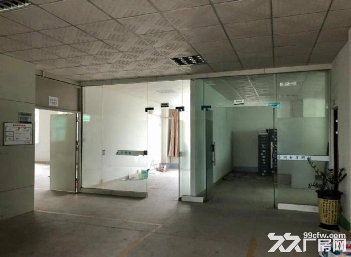 龙岗坂田布龙路边,新出原房东红本一楼厂房1000平,带精装办公室,空地大 - 6