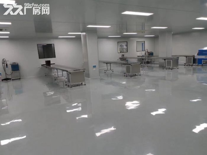 广州天河新塘20000平无尘车间厂房招租 可分租 可短租 - 2