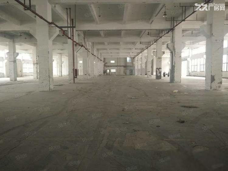 航头大麦湾工业园 一楼1800平环氧地面 车位充足可分割出租 - 3