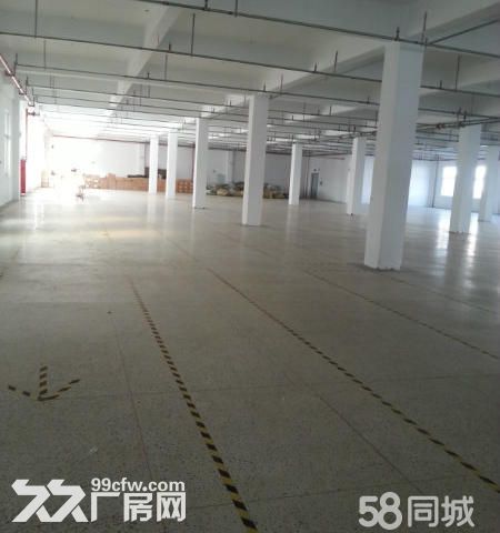 个人.淳化1到5楼5000平米厂房出租.可以分租.500平米起租 - 8