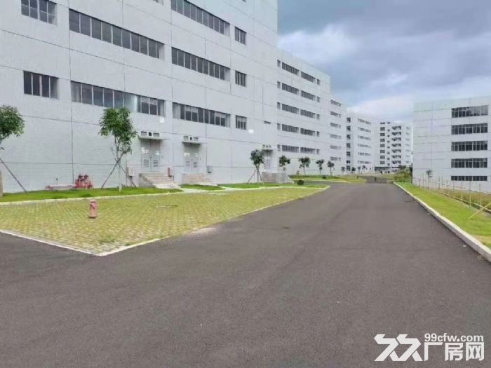 清溪全新红本工业园总面积13万平米招租