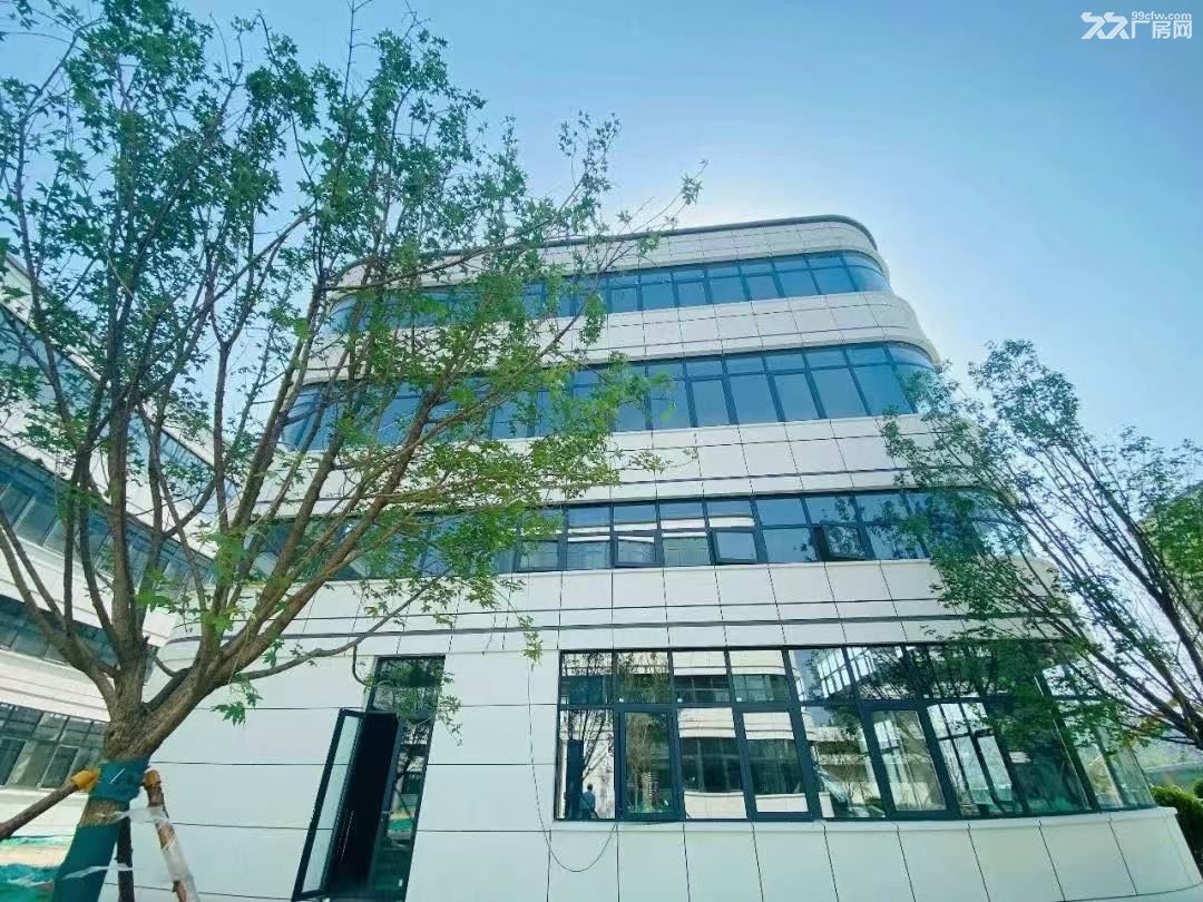 青岛高新区火炬路----3层厂房出售 - 6