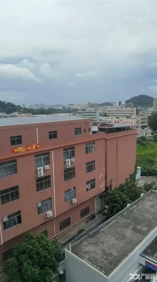 大朗金鸡路旁厂房+宿舍出售(集体合同)距离高速收费站1公里 - 2
