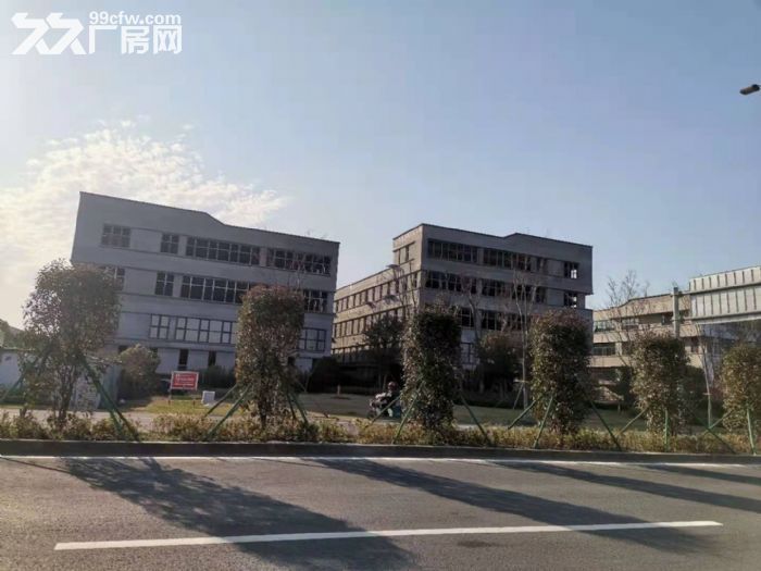 稀缺厂房开发商直售50年产权标准厂房2300平 - 4