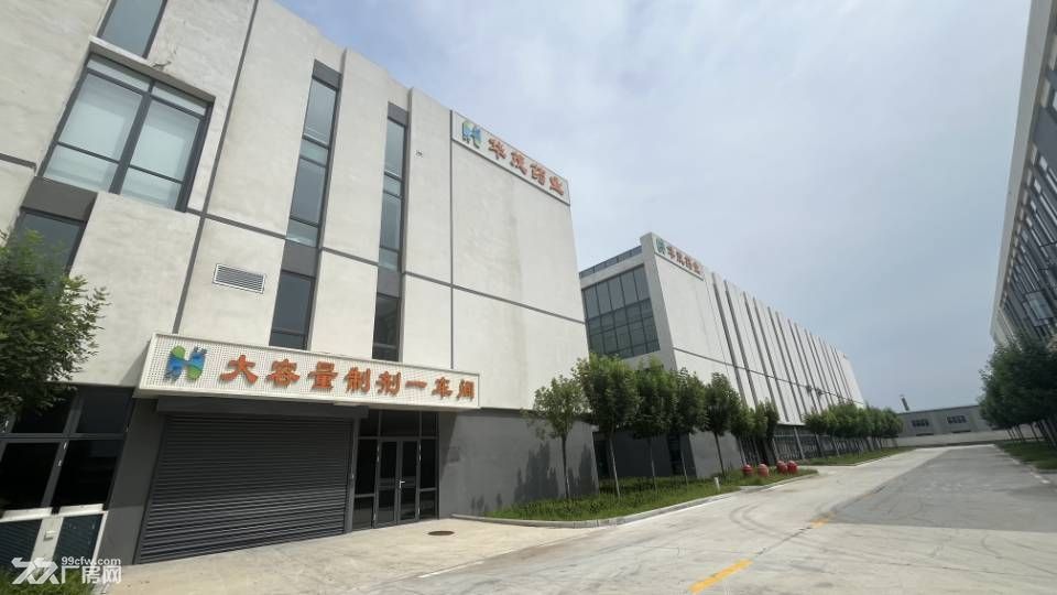 淄博生物医药企业聚集地厂房免租政策优惠配套齐全交通便利 - 4